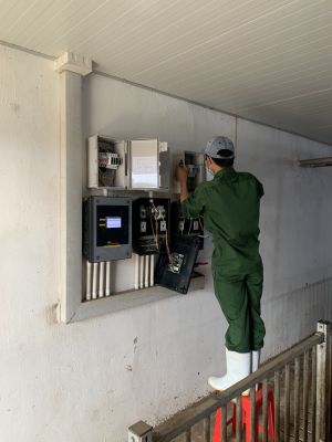 Lắp đặt hệ thống chống sét lan truyền ở Khu chăn nuôi công nghệ cao DHN Đăk Lăk